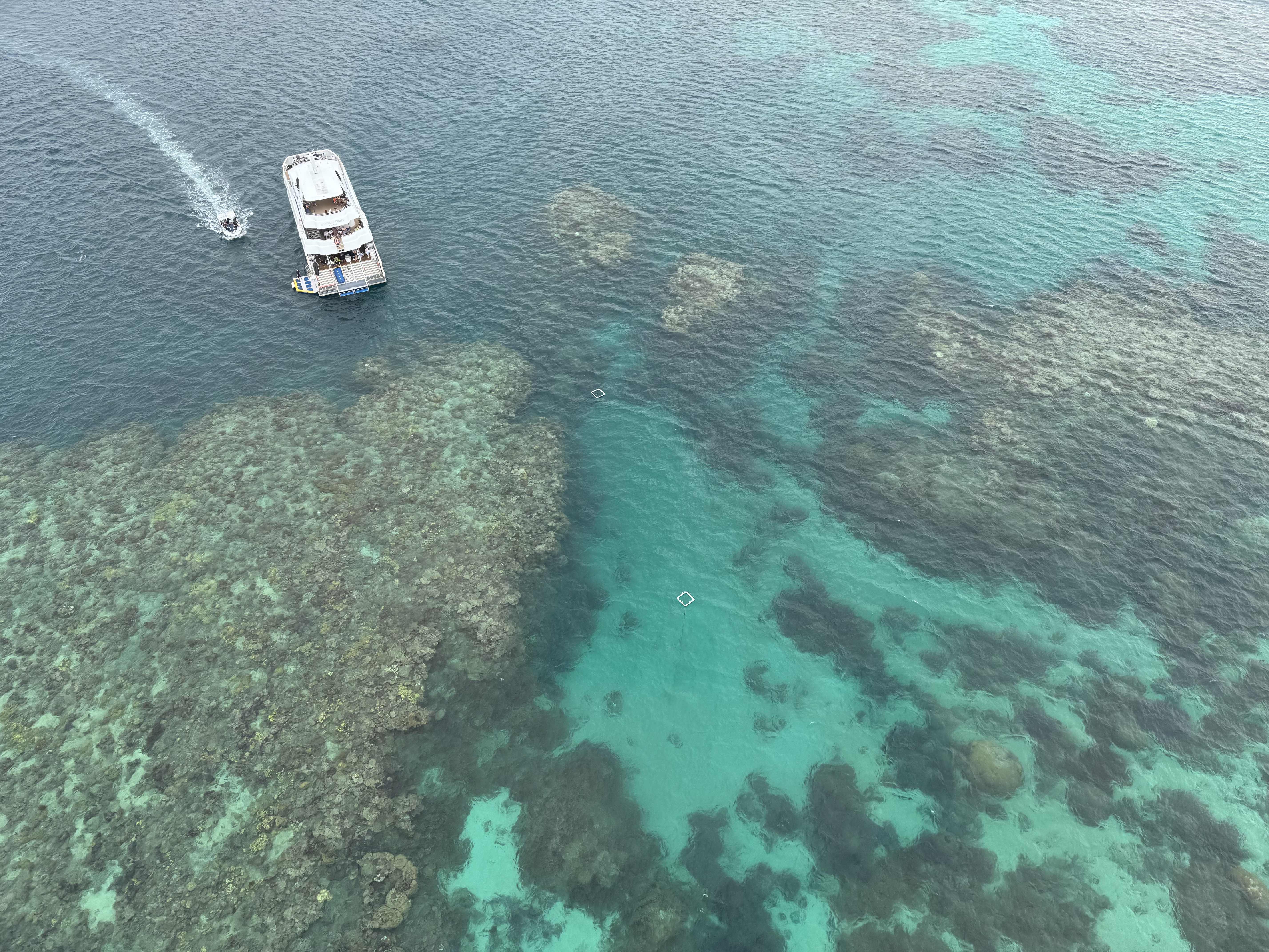 The great barrier reef!